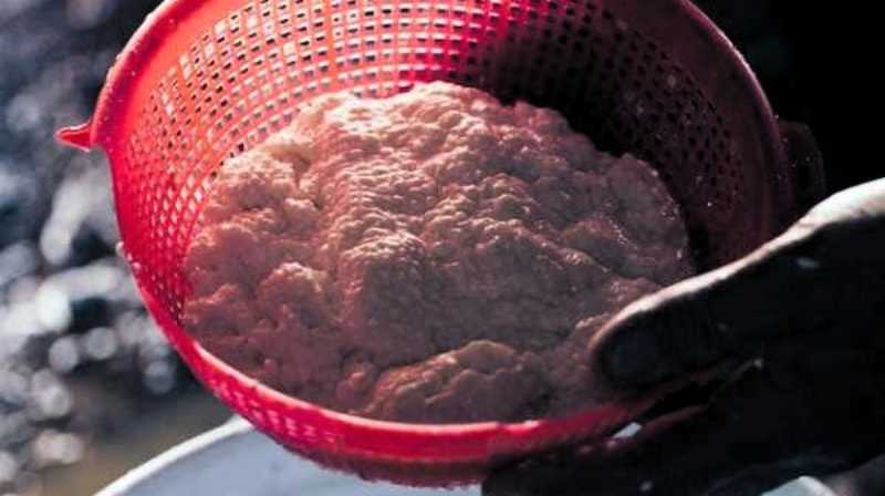 Why Whey is Desirable